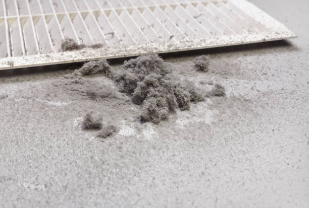 Best HVAC Maintenance and Cleaning  in Panther Valley, NJ